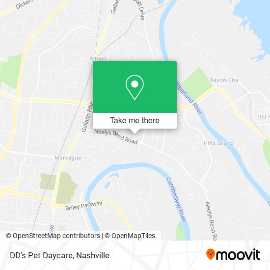 DD's Pet Daycare map