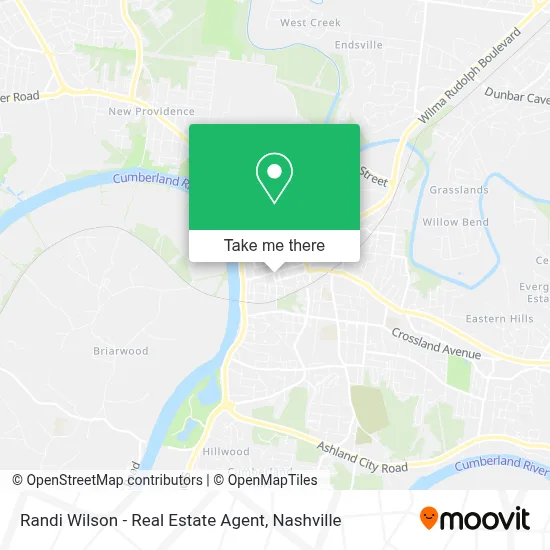 Randi Wilson - Real Estate Agent map