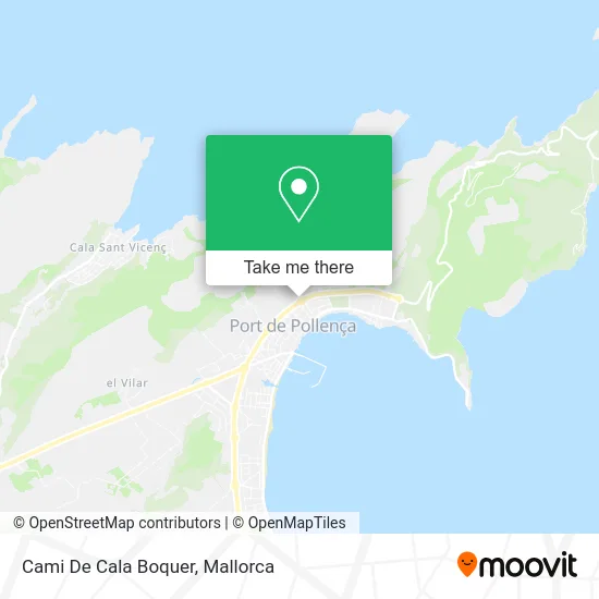Cami De Cala Boquer map