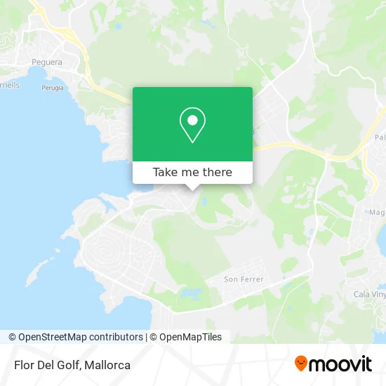Flor Del Golf map