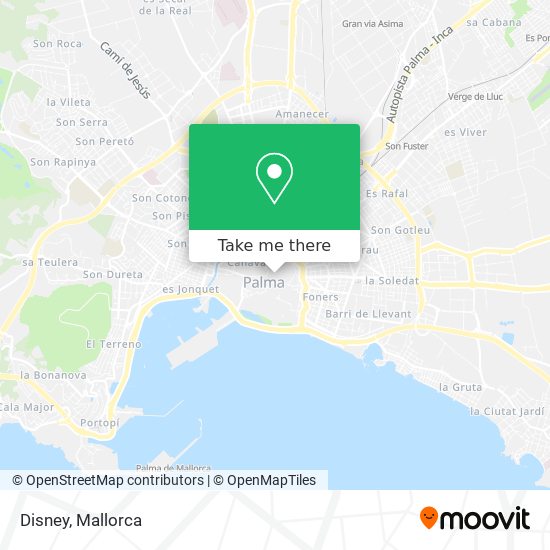 Disney map