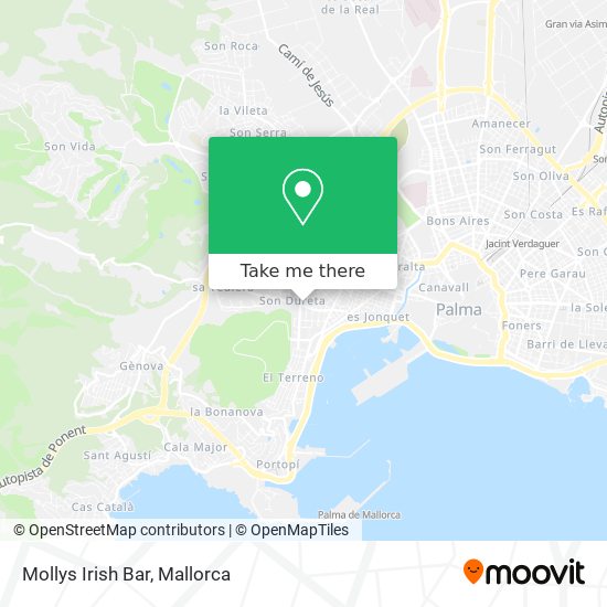 mapa Mollys Irish Bar