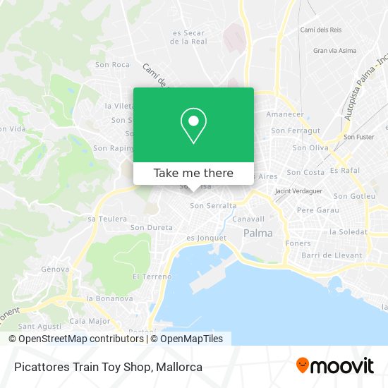 Picattores Train Toy Shop map