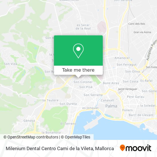 Milenium Dental Centro Cami de la Vileta map