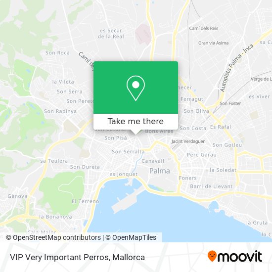 VIP Very Important Perros map