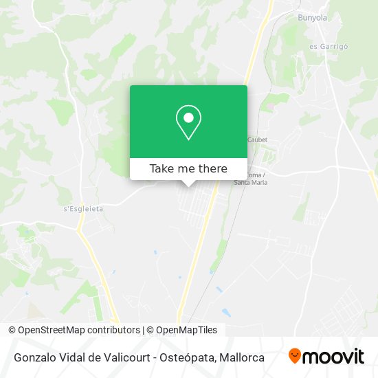 mapa Gonzalo Vidal de Valicourt - Osteópata