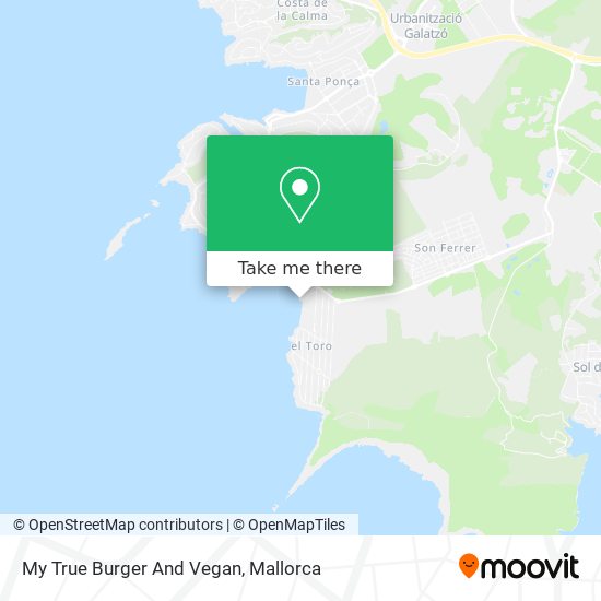 mapa My True Burger And Vegan