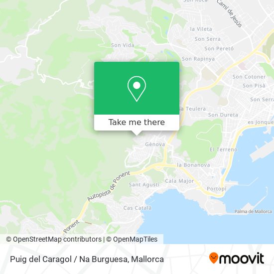 Puig del Caragol / Na Burguesa map