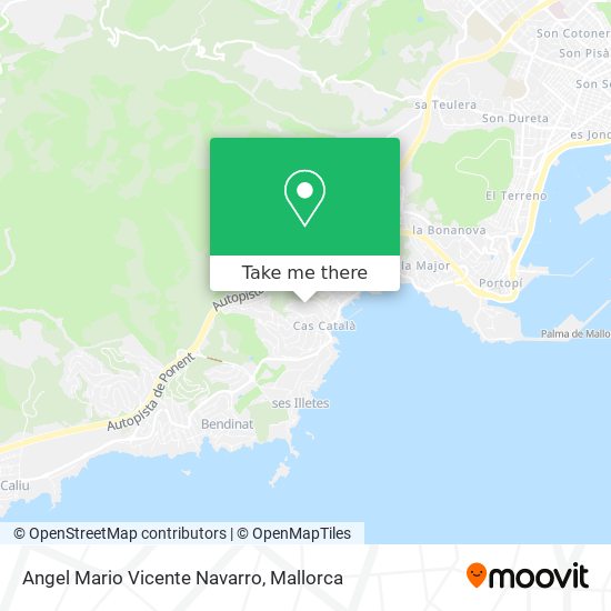 Angel Mario Vicente Navarro map