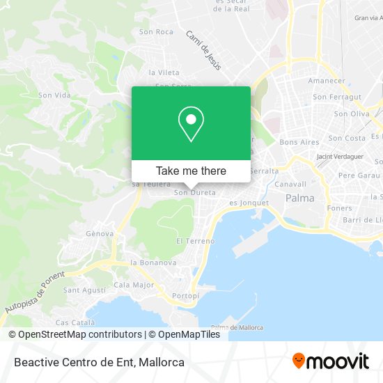 mapa Beactive Centro de Ent