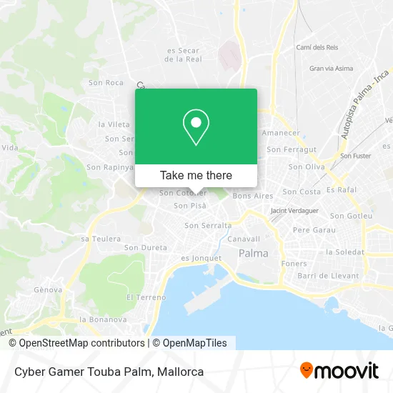 Cyber Gamer Touba Palm map
