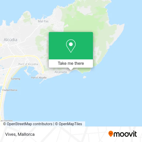 Vives map