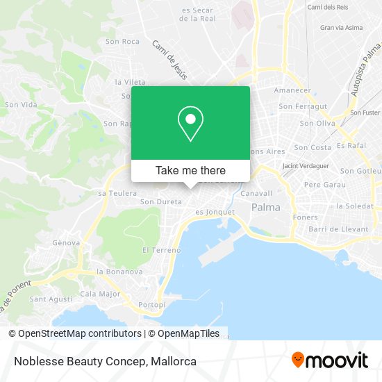 Noblesse Beauty Concep map