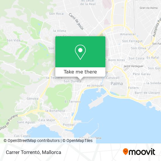 Carrer Torrentó map