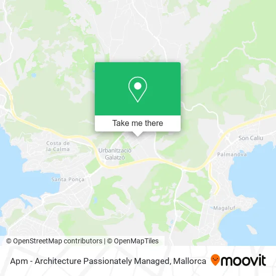Apm - Architecture Passionately Managed map