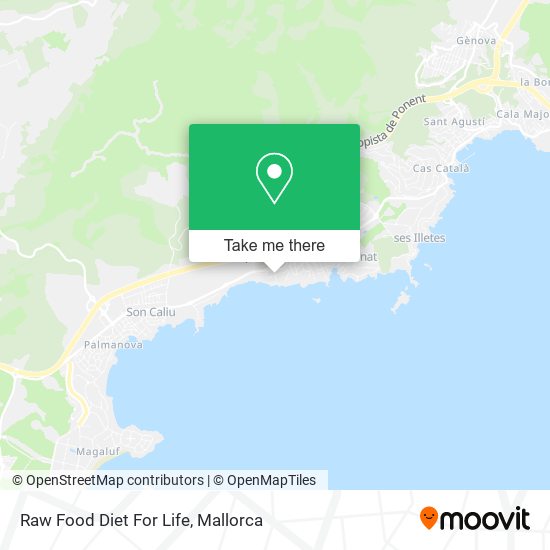 Raw Food Diet For Life map