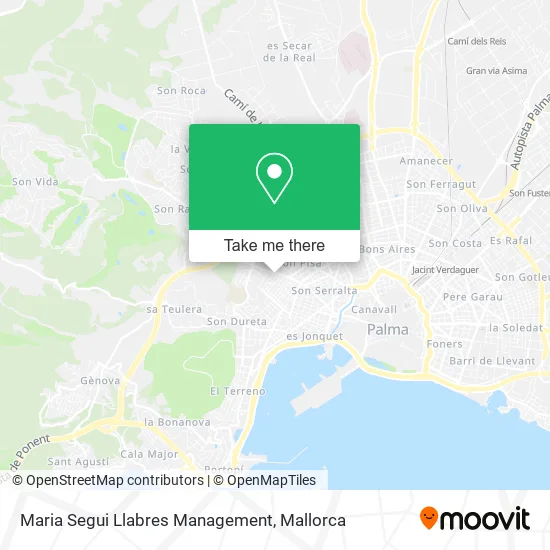 Maria Segui Llabres Management map