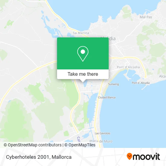 Cyberhoteles 2001 map