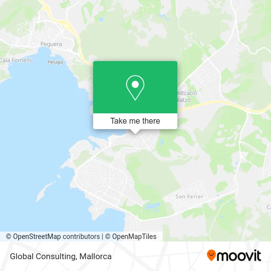 Global Consulting map