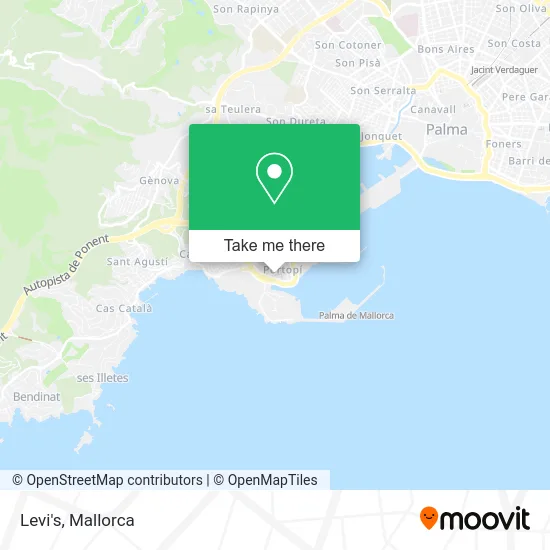 Levi's map