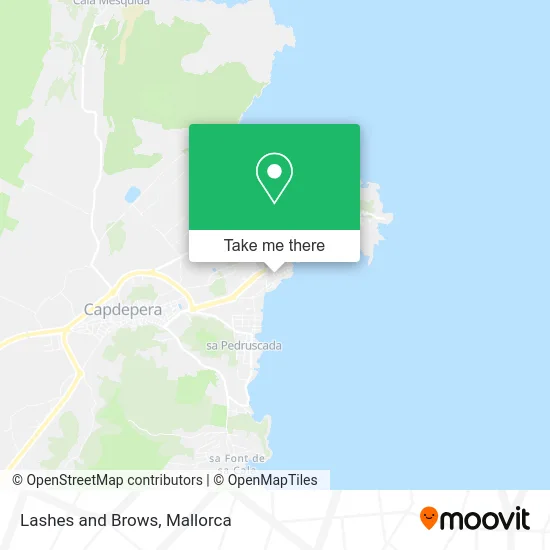 Lashes and Brows map