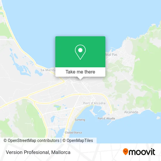 Version Profesional map