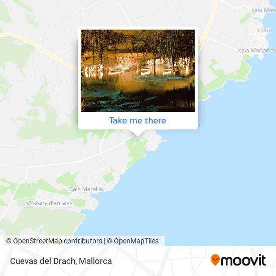 Cuevas del Drach map