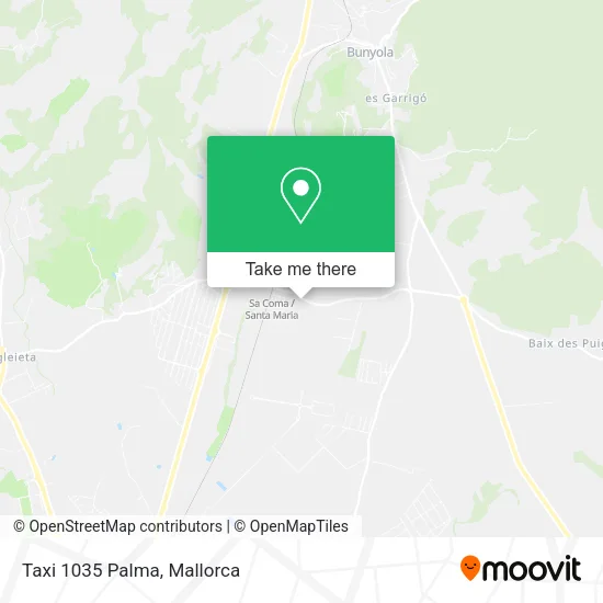 Taxi 1035 Palma map