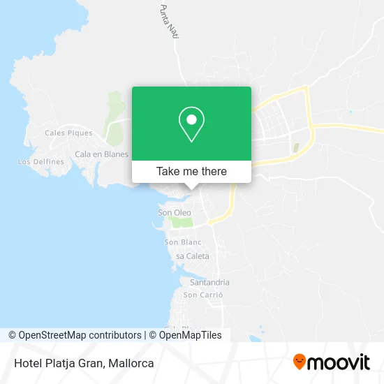 Hotel Platja Gran map