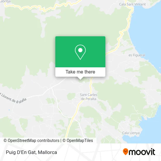 Puig D'En Gat map