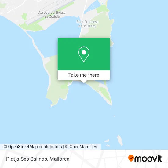 Platja Ses Salinas map