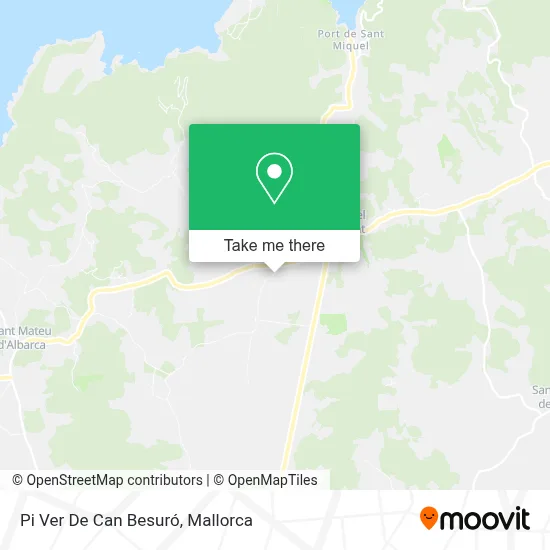Pi Ver De Can Besuró map