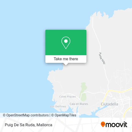 Puig De Sa Ruda map