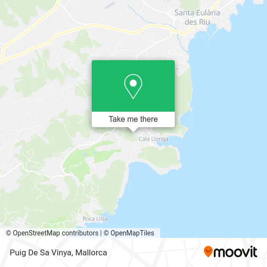 Puig De Sa Vinya map