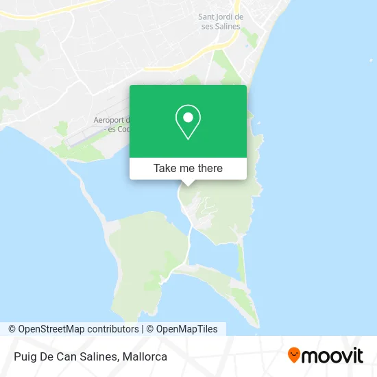 Puig De Can Salines map
