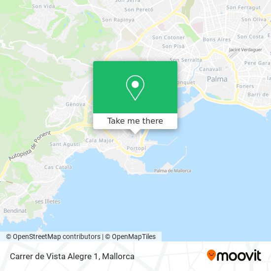 mapa Carrer de Vista Alegre 1