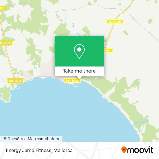 Energy Jump Fitness map