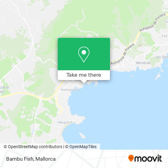 Bambu Fish map