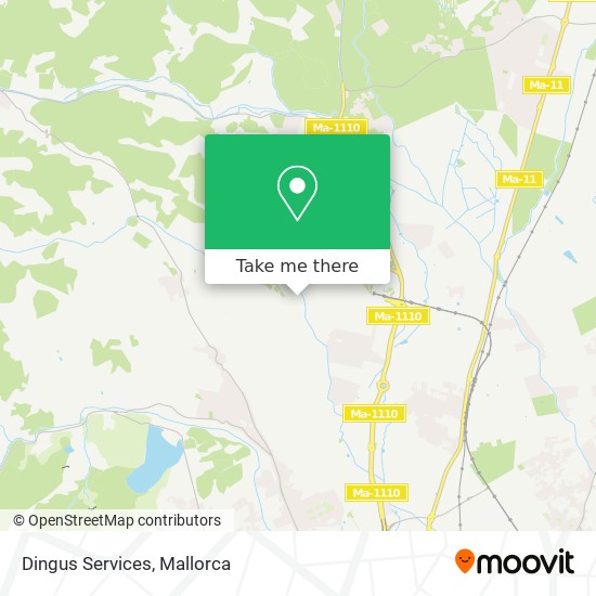 Dingus Services map