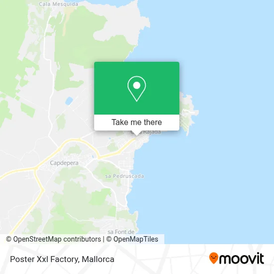 Poster Xxl Factory map