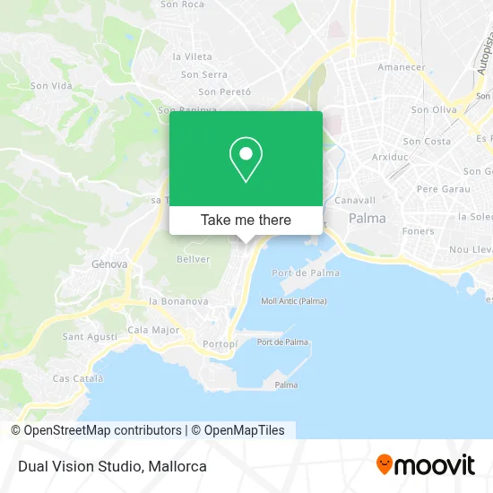 Dual Vision Studio map