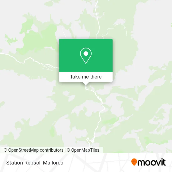 Station Repsol map