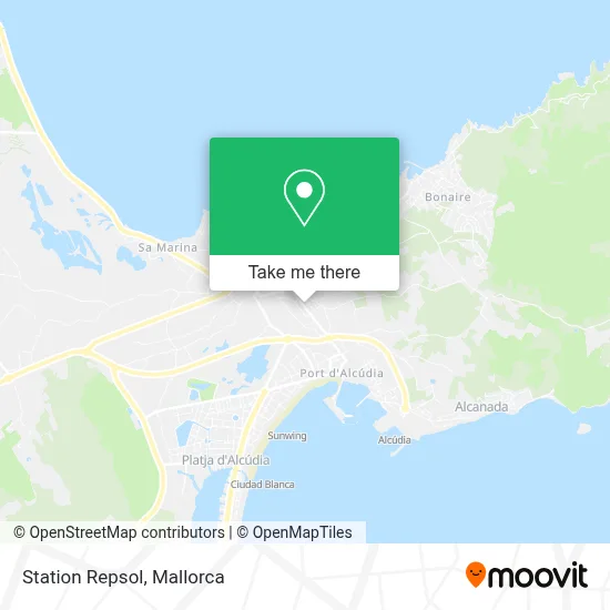 Station Repsol map