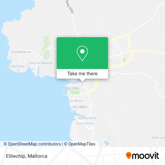 Elitechip map