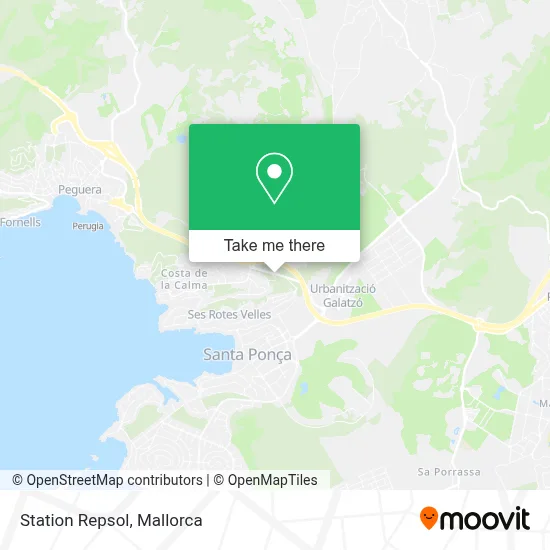 Station Repsol map