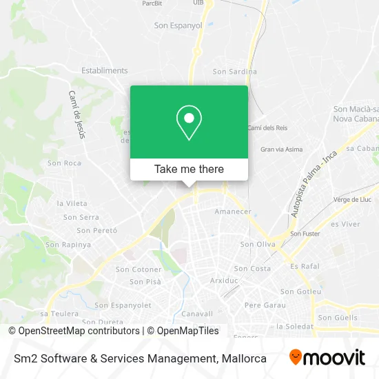 Sm2 Software & Services Management map