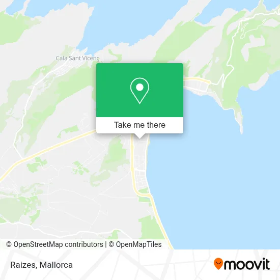 Raizes map