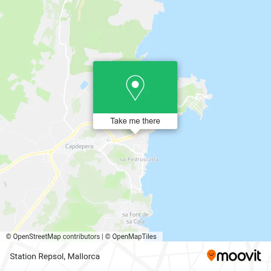 Station Repsol map
