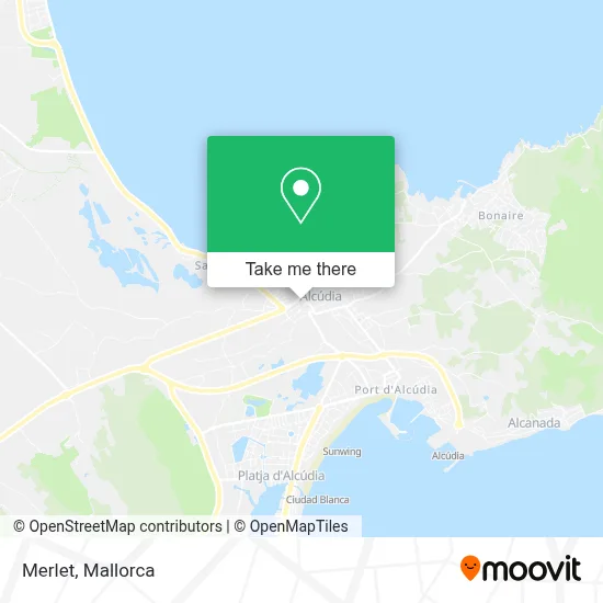 Merlet map