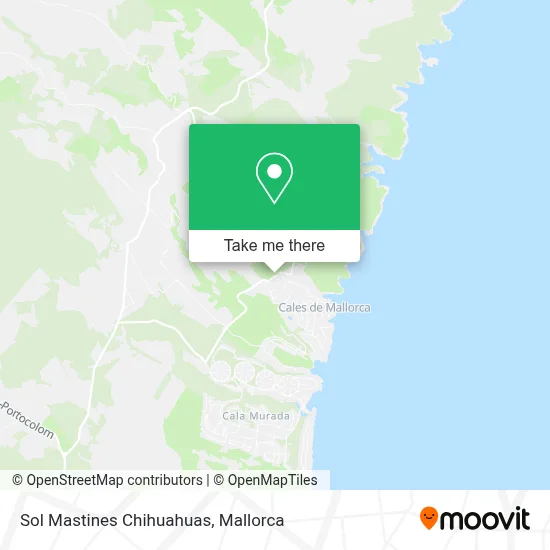 Sol Mastines Chihuahuas map